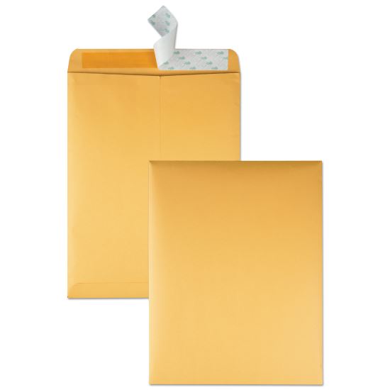 Redi-Strip Catalog Envelope, #13 1/2, Cheese Blade Flap, Redi-Strip Closure, 10 x 13, Brown Kraft, 100/Box1