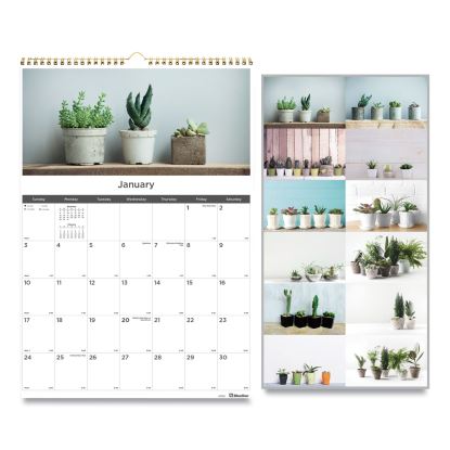 12-Month Wall Calendar, Succulent Plants Photography, 12 x 17, White/Multicolor Sheets, 12-Month (Jan to Dec): 20231