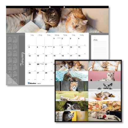 Pets Collection Monthly Desk Pad, Furry Kittens Photography, 22 x 17, White Sheets, Black Binding, 12-Month (Jan-Dec): 20221