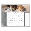 Pets Collection Monthly Desk Pad, Furry Kittens Photography, 22 x 17, White Sheets, Black Binding, 12-Month (Jan-Dec): 20232