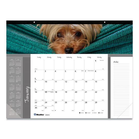 Pets Collection Monthly Desk Pad, Puppies Photography, 22 x 17, Black Binding, Clear Corners, 12-Month (Jan to Dec): 20231