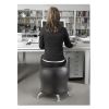 Zenergy Ball Chair, Backless, Supports Up to 250 lb, Black Vinyl Seat, Silver Base2