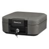 Waterproof Fire-Resistant Chest, 0.28 cu ft, 15.4w x 14.3d x 6.6h, Charcoal Gray2