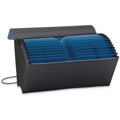 Handy File with Pockets, 21 Sections, Elastic Cord Closure, 1/2-Cut Tabs, Check Size, Black/Blue1