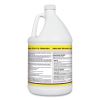 Clean Finish Disinfectant Cleaner, 1 gal Bottle, Herbal2