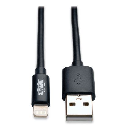 Lightning to USB Cable, 10 ft, Black1