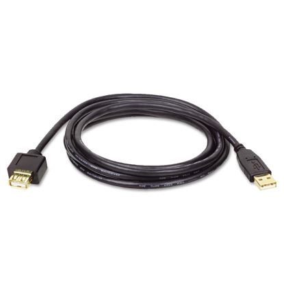 USB 2.0 A Extension Cable (M/F), 6 ft., Black1