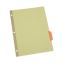Deluxe Extended Insertable Tab Indexes, 5-Tab, 11 x 8.5, Buff, 24 Sets1