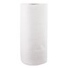 Kitchen Roll Towels, 2-Ply, 11 x 8.8, White, 100/Roll, 30 Rolls/Carton2