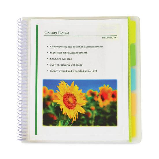 10-Pocket Poly Portfolio with Write-On Tabs, 8.5 x 11, Clear/Clear1