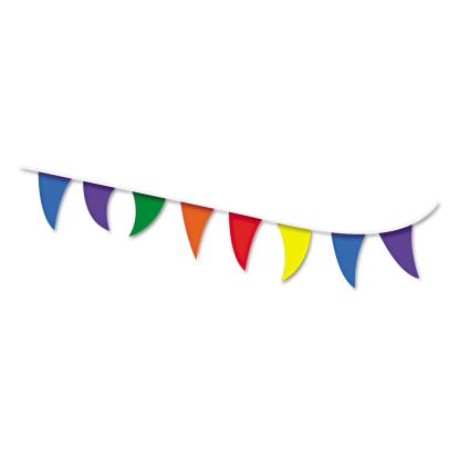 Strung Flags, Pennant, 30 ft, Assorted Bright Colors1