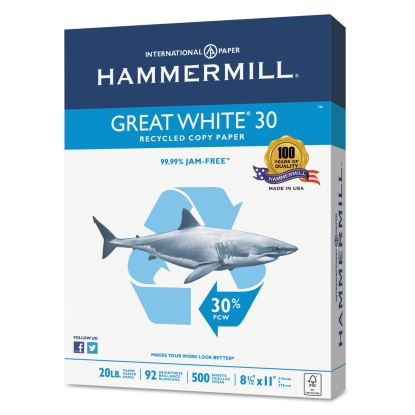 Great White 30 Recycled Print Paper, 92 Bright, 20 lb Bond Weight, 8.5 x 11, White, 500 Sheets/Ream, 5 Reams/Carton1
