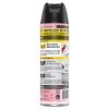 Fragrance Free Ant and Roach Killer, 17.5 oz Aerosol Spray2