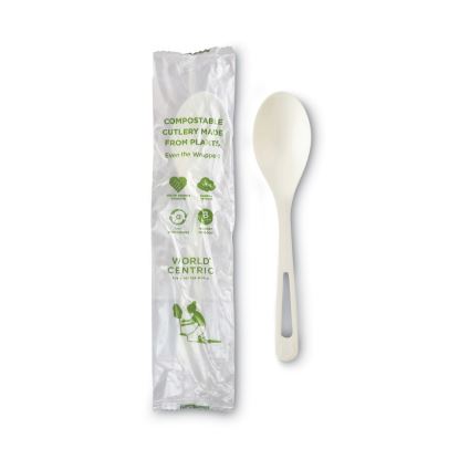 TPLA Compostable Cutlery, Spoon, 6", White, 750/Carton1