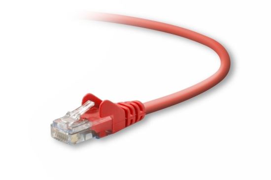 Picture of Belkin Cat5e, 35ft, 1 x RJ-45, 1 x RJ-45, Red networking cable 417.3" (10.6 m)