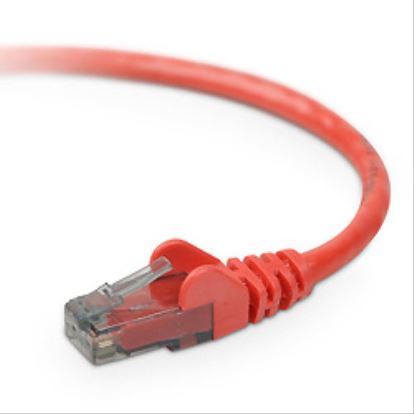 Belkin CAT6 Snagless networking cable Red 315" (8 m)1