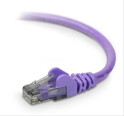 Belkin CAT6 Snagless 6 ft networking cable Purple 72" (1.83 m)1