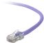 Picture of Belkin 9.1m RJ45 networking cable Purple 358.3" (9.1 m) Cat6 U/UTP (UTP)