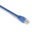 Black Box 25ft Cat5e networking cable Blue 300" (7.62 m) U/UTP (UTP)1