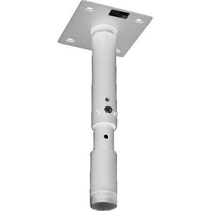 Chief CMA700W project mount Ceiling White1