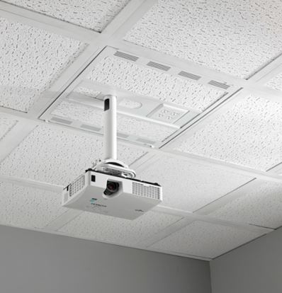 Picture of Chief CMS492C project mount Ceiling Stainless steel, White