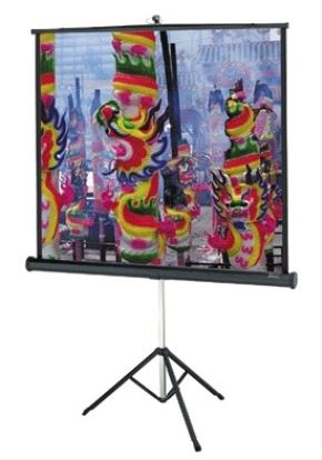 Picture of Da-Lite Versatol 50" x 50" projection screen