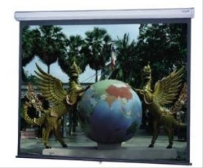 Da-Lite Model C™ w/ CSR 87" x 116", Video, Matte White projection screen 150"1