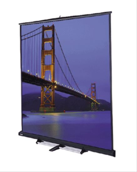 Da-Lite Floor Model C projection screen 1:11