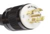 Eaton CBL113 internal power cable2