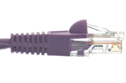 Picture of eNet Components Cat6 14ft. networking cable Purple 165.4" (4.2 m)