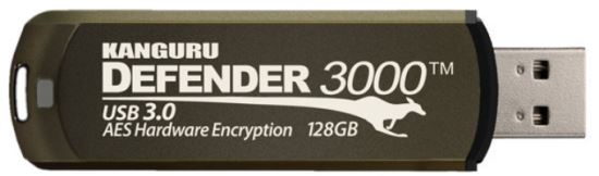 Kanguru Defender 3000 USB flash drive 128 GB USB Type-A 3.2 Gen 1 (3.1 Gen 1) Brown1