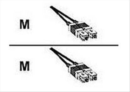 Quantum 3-03891-01 fiber optic cable 590.6" (15 m) SC1