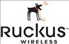 Ruckus Wireless 803-T31D-1000 warranty/support extension1