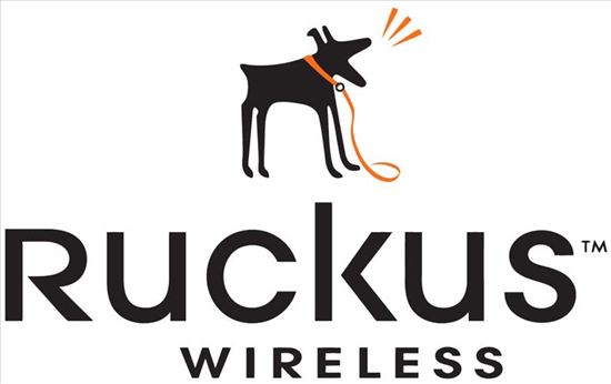 Ruckus Wireless 803-T31N-5000 warranty/support extension1