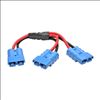 Tripp Lite 48VDCSPLITTER power cable Black, Red 11.8" (0.3 m) 2-pin terminal block1