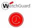 WatchGuard WGM67261 software license/upgrade 1 license(s) 1 year(s)1