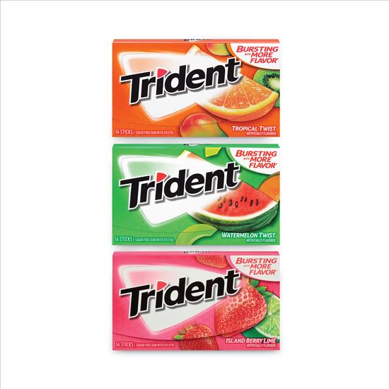 Sugar-Free Gum, Fruit Variety, 14 Pieces/Pack, 20 Packs/Box, Delivered in 1-4 Business Days1