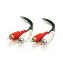 C2G 50ft Value Series RCA Type audio cable 590.6" (15 m) 2 x RCA Black1