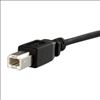 StarTech.com USBPNLBFBM1 USB cable 11.8" (0.3 m) USB 2.0 USB B Black3