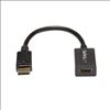 StarTech.com DP2HDMI2 video cable adapter 8.27" (0.21 m) DisplayPort HDMI Black2