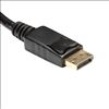 StarTech.com DP2HDMI2 video cable adapter 8.27" (0.21 m) DisplayPort HDMI Black6