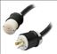 APC 8ft cable extender 5wire #10 L21-20R/P 208V 3PH Black 96.1" (2.44 m)1