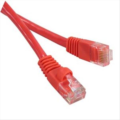 Oncore Cat6, 8ft networking cable Red 96.1" (2.44 m) U/UTP (UTP)1