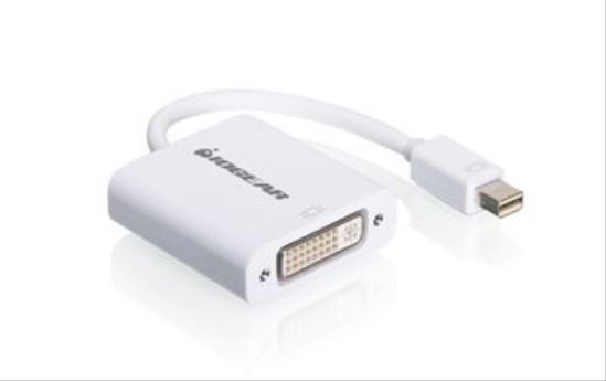 iogear Mini DisplayPort - DVI White1