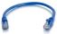 C2G 12ft. Cat6a RJ-45 networking cable Blue 143.7" (3.65 m) U/UTP (UTP)1
