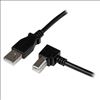 StarTech.com USBAB3MR USB cable 118.1" (3 m) USB 2.0 USB A USB B Black1