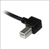 StarTech.com 2m USB 2.0 A - B USB cable 78.7" (2 m) USB A USB B Black4