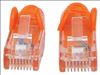 Intellinet 15m Cat6 UTP networking cable Orange 590.6" (15 m) U/UTP (UTP)3