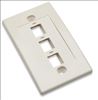Intellinet 162944 wall plate/switch cover Ivory2