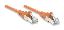 Picture of Intellinet 30m Cat6 UTP networking cable Orange 1181.1" (30 m)